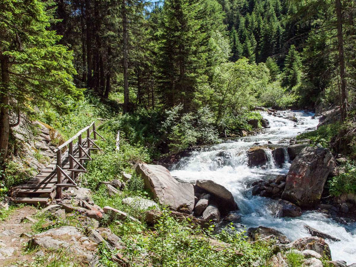 Gruppenhaus Im Walliser Alpstyle Rosswald ภายนอก รูปภาพ